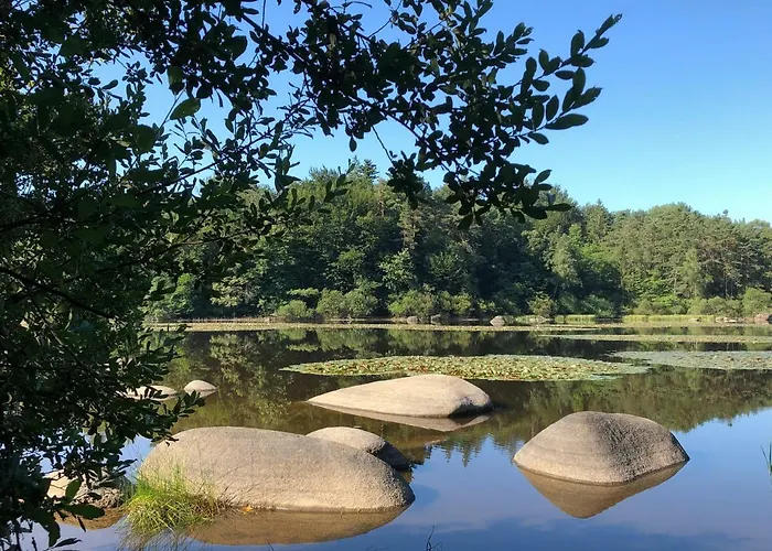 Chez Charlotte Et Michel Pansiyon Brassac (Tarn)